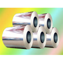 Color Coated Steel Coil